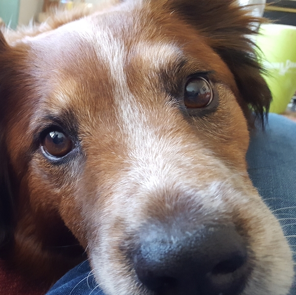 Meet your Posher, Gail ketchum - Picture 2 of 2